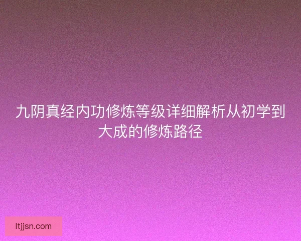 九阴真经内功修炼等级详细解析从初学到大成的修炼路径